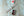 Omega Style Beads of Rice Watch Bracelet – Flat or Curved - Brushed or Polished - Experts Watches - Experts Watches