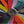 Perlon Straps Multi Color | 20 MM - Experts Watches Watch Strap
