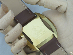 Vintage Gold Plated Omega SeaMaster COSMIC 135.017 SP Watch Sector Dial Cal 601 - Omega Wristwatches