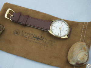 Vintage Gold Plated Omega SeaMaster COSMIC 135.017 SP Watch Sector Dial Cal 601 - Omega Wristwatches