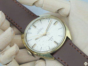 Vintage Gold Plated Omega SeaMaster COSMIC 135.017 SP Watch Sector Dial Cal 601 - Omega Wristwatches