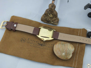 Vintage Gold Plated Omega SeaMaster COSMIC 135.017 SP Watch Sector Dial Cal 601 - Omega Wristwatches