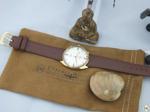 Vintage Gold Plated Omega SeaMaster COSMIC 135.017 SP Watch Sector Dial Cal 601 - Omega Wristwatches