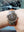 HEUER Ref 2403 Monopusher Chronograph Fancy Wrist Shot