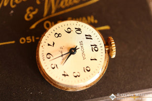 expertswatches.com - ExpertsWatches.com