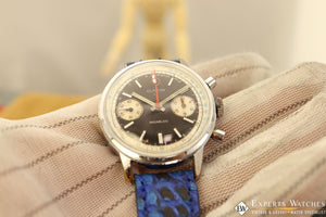 expertswatches.com - ExpertsWatches.com